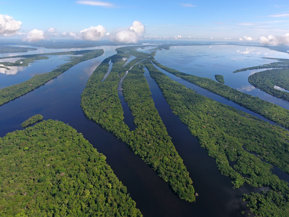 Zielone wyspy archipelagu Anavilhanas i rozlewiska Rio Negro w brazylijskiej Amazonii, widok z lotu ptaka.